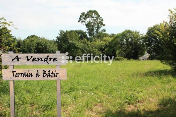 Terrain
        
        - 970 m² 33 220 € *