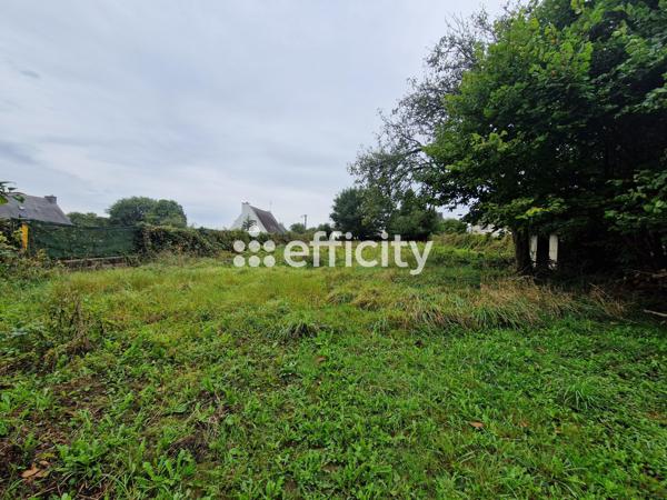 Terrain
        
        - 970 m² 33 220 € *