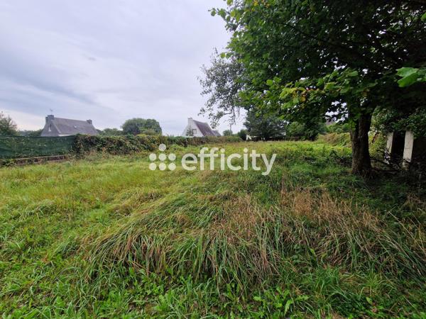 Terrain
        
        - 970 m² 33 220 € *