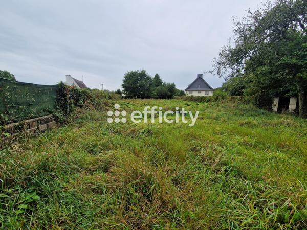 Terrain
        
        - 970 m² 33 220 € *