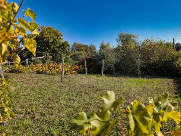 Maison à vendre à Adriers (86430) - Vienne