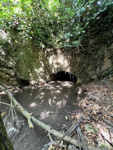 Maison rurale à vendre à Argy dans l'Indre (36500), ref : 016/431