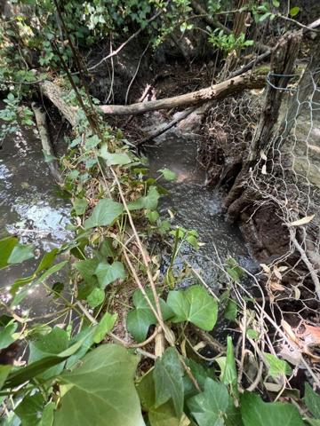 Maison rurale à vendre à Argy dans l'Indre (36500), ref : 016/431