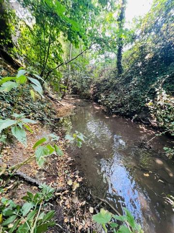 Maison rurale à vendre à Argy dans l'Indre (36500), ref : 016/431