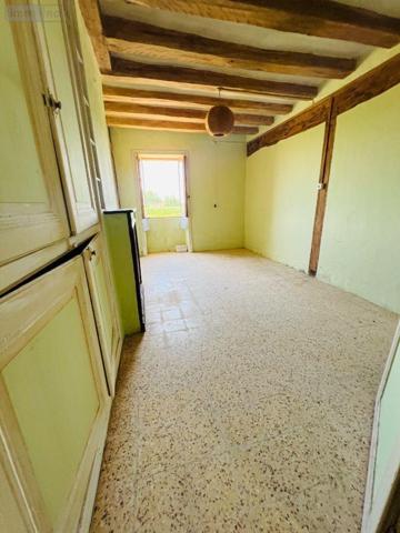 Maison rurale à vendre à Argy dans l'Indre (36500), ref : 016/431