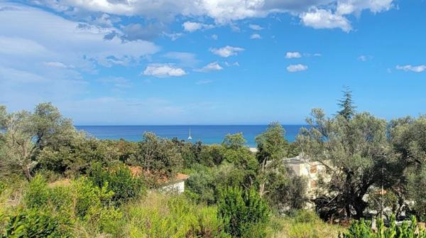 appartement à vendre 2 pièces SARI SOLENZARA (20)