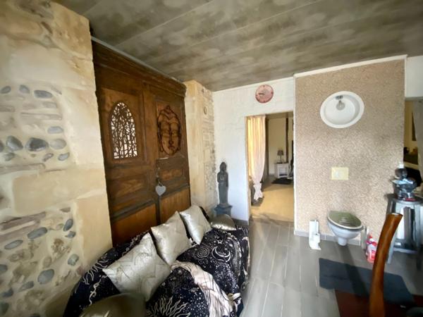 Maison de caractère 10 pièces avec piscine, dépendance et greniers aménageable (idéal gîtes) à SAINT SEVER (40)