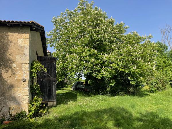 Maison à vendre à Auch (32000) - Gers