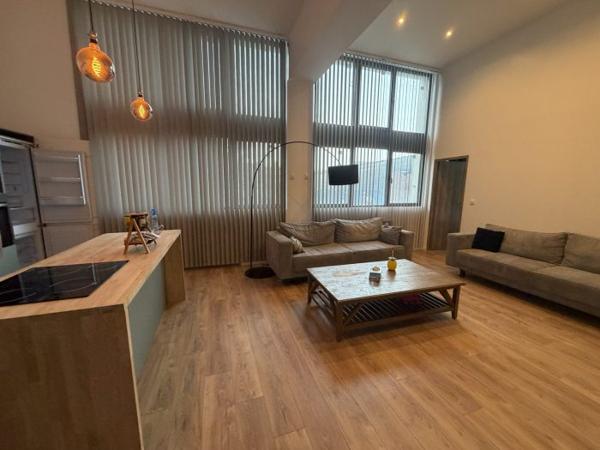 Loft Roubaix 90 m²