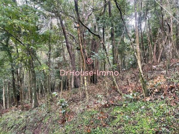 Terrain à vendre de 809 m²