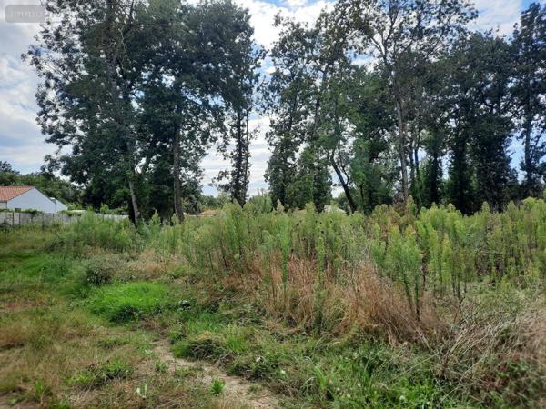 Terrain à Batir à vendre à Saint-Hilaire-de-Riez en Vendée (85270), ref : 85091-5159