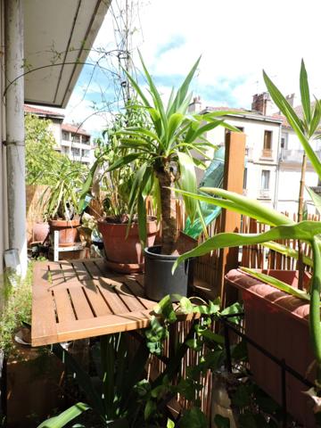 Appartement à vendre 3/4 pièces MARSEILLE 6EME ARRONDISSEMENT (13)