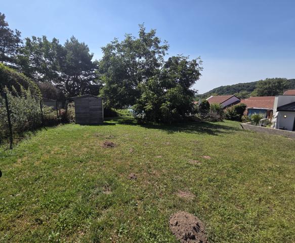 Creutzwald (57150) Maison 5 pièces avec jardin