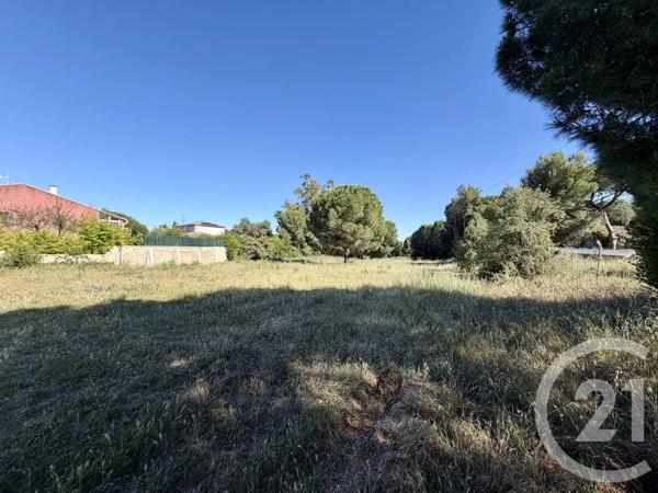 Terrain à vendre  491 m 2   MARSEILLAN  - 34