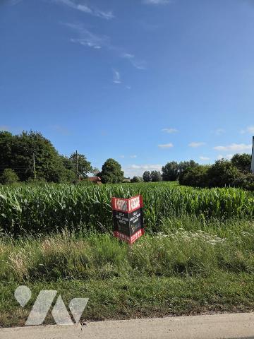 TERRAIN À BÂTIR À VENDRE – WITTES 