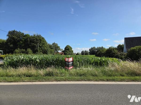 TERRAIN À BÂTIR À VENDRE – WITTES 