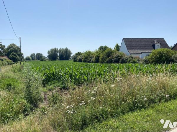 TERRAIN À BÂTIR À VENDRE – WITTES 