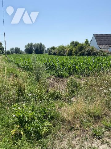 TERRAIN À BÂTIR À VENDRE – WITTES 