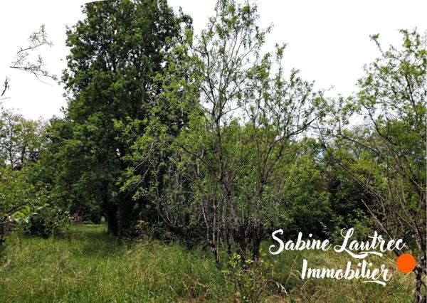 Vénès (81440) Beau terrain arboré