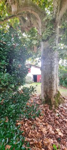 Belle maison à rénover - Dépendances