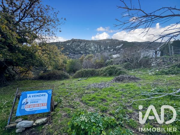 Terrain à vendre 842 m² Santo-Pietro-di-Tenda