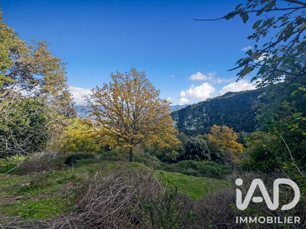 Terrain à vendre 842 m² Santo-Pietro-di-Tenda