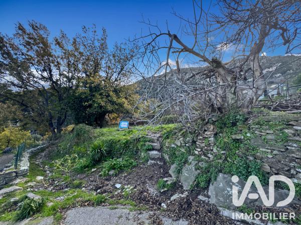 Terrain à vendre 842 m² Santo-Pietro-di-Tenda