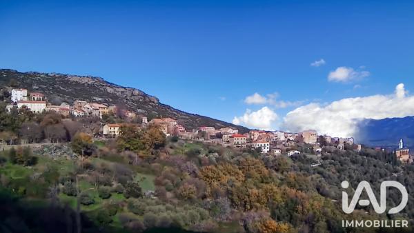 Terrain à vendre 842 m² Santo-Pietro-di-Tenda