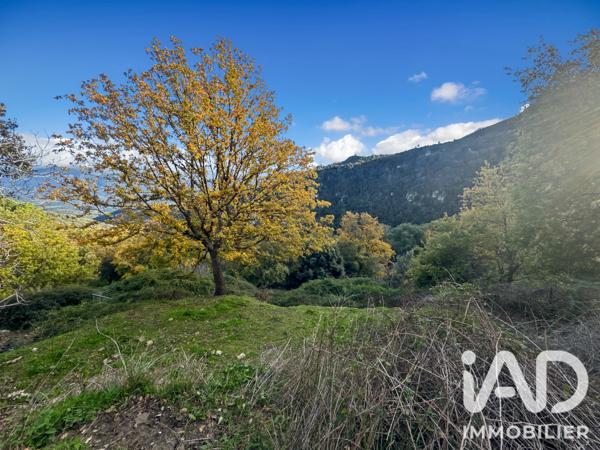 Terrain à vendre 842 m² Santo-Pietro-di-Tenda