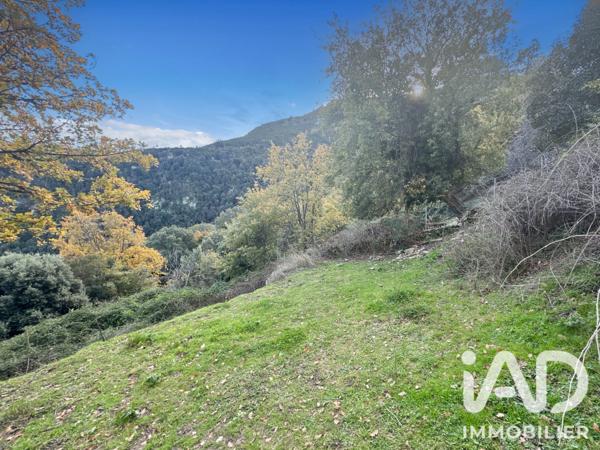 Terrain à vendre 842 m² Santo-Pietro-di-Tenda