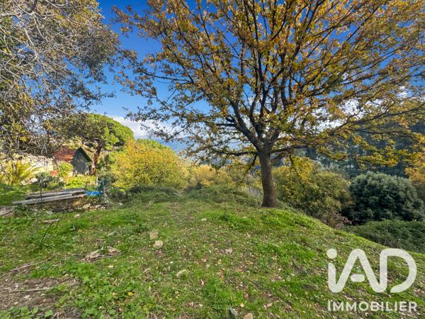 Terrain à vendre 842 m² Santo-Pietro-di-Tenda