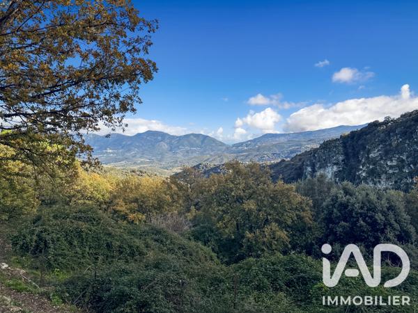Terrain à vendre 842 m² Santo-Pietro-di-Tenda