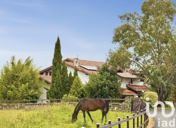 Maison à vendre 9 pièces 290 m² Villefranque