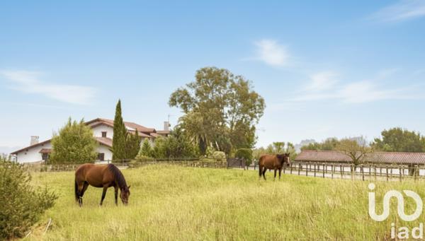 Maison à vendre 9 pièces 290 m² Villefranque