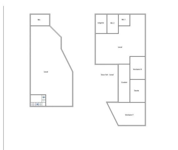 Grand local commercial sur 2 niveaux (murs libres)