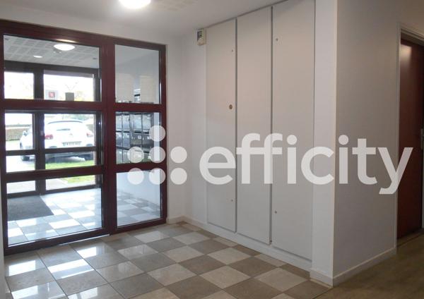 Appartement 3 pièces - 55 m² Exclusivité efficity