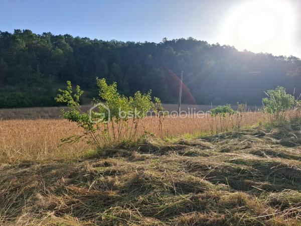Ensemble de biens immobiliers à rénover sur presque 3 000 m2 de terrain avec possibilité d'acheter un peu plus.
4 bâtiments cadastrés. Une ancienne maison de 2 pièces avec cheminée à foyer ouvert et combles. Grange d'au moins 150 m2 au total, un ancien four à pain et un quatrième bâtiment. 
ATTENTION, LOURDS TRAVAUX, RENOVATION COMPLETE A FAIRE
Compteur électrique à changer
Toutes les toitures sont à refaire
Il y a un mobil home sur place qui peut rester si l'acheteur le souhaite
Un seul voisin
Endroit de baignade au change à 4 minutes top chrono!
De la pierre, magnifique pierre à rénover!