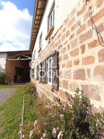 Maison Essertines En Donzy 10 pièce(s) 235 m2