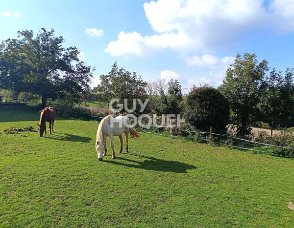 Maison Essertines En Donzy 10 pièce(s) 235 m2