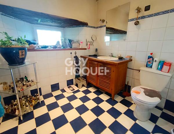 Maison Essertines En Donzy 10 pièce(s) 235 m2