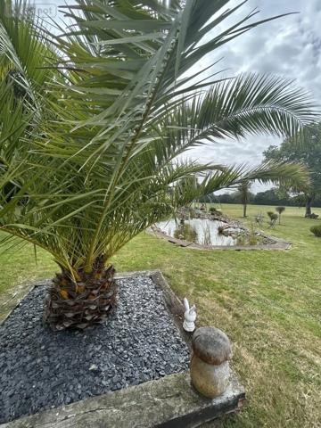 Achat - Maison Lanvollon 22290 6 pièces 201 m 2 11445 m 2