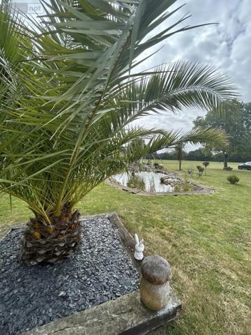 Achat - Maison Lanvollon 22290 6 pièces 201 m 2 11445 m 2