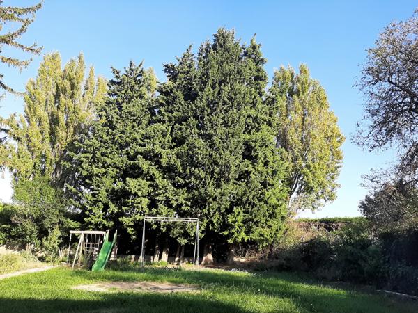 Camaret-sur-Aigues (84850) Exclusivité :à Camaret sur aigues au coeur du village – Maison avec dépendances et terrain arboré