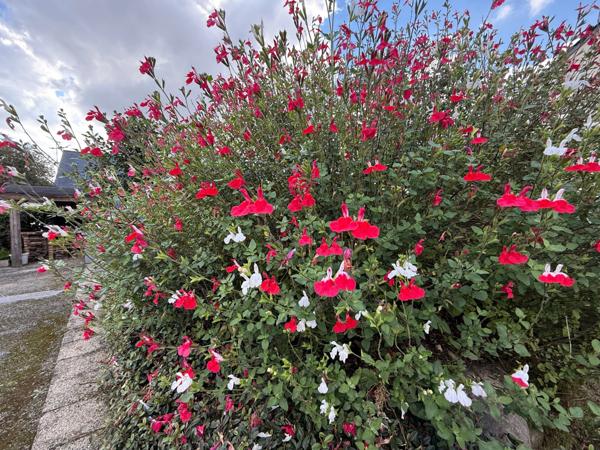 Maison à vendre 6 pièces Proche de BOURG CARENTOIR (56)