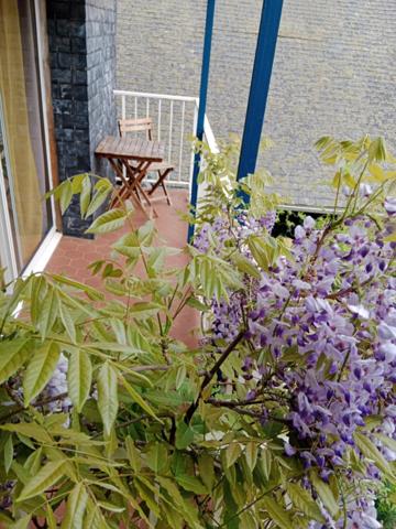 Vente Maison 7 pièces 195 m2 à Josselin