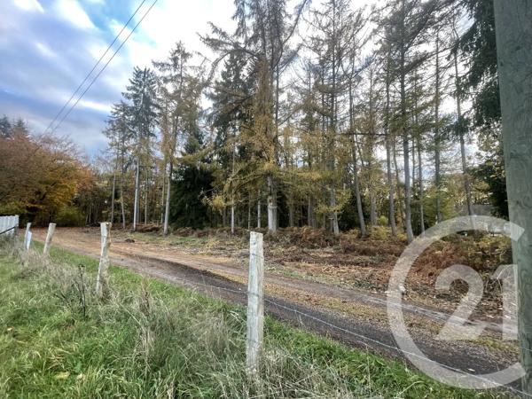 Terrain à vendre  1286 m 2   CAUDEBEC LES ELBEUF  - 76