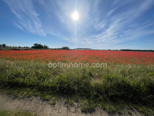 Maison à vendre 5 pièces LE BOIS PLAGE EN RE (17)