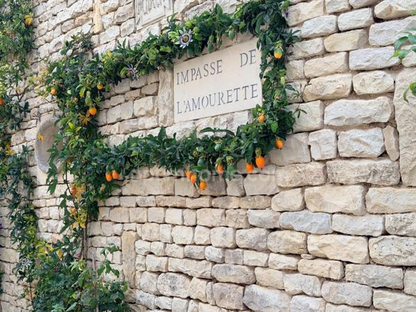 Maison à vendre 5 pièces LE BOIS PLAGE EN RE (17)