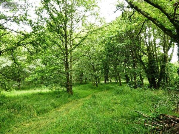 Maison à vendre à Lignol dans le Morbihan (56160), ref : 56075-2297