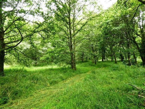 Maison à vendre à Lignol dans le Morbihan (56160), ref : 56075-2297